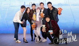 只为那一刻与你相见电视剧,缘起缘灭，爱恨交织的浪漫传奇