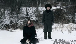 悬崖电视剧全集在线观看,揭秘谍战风云，重温红色岁月